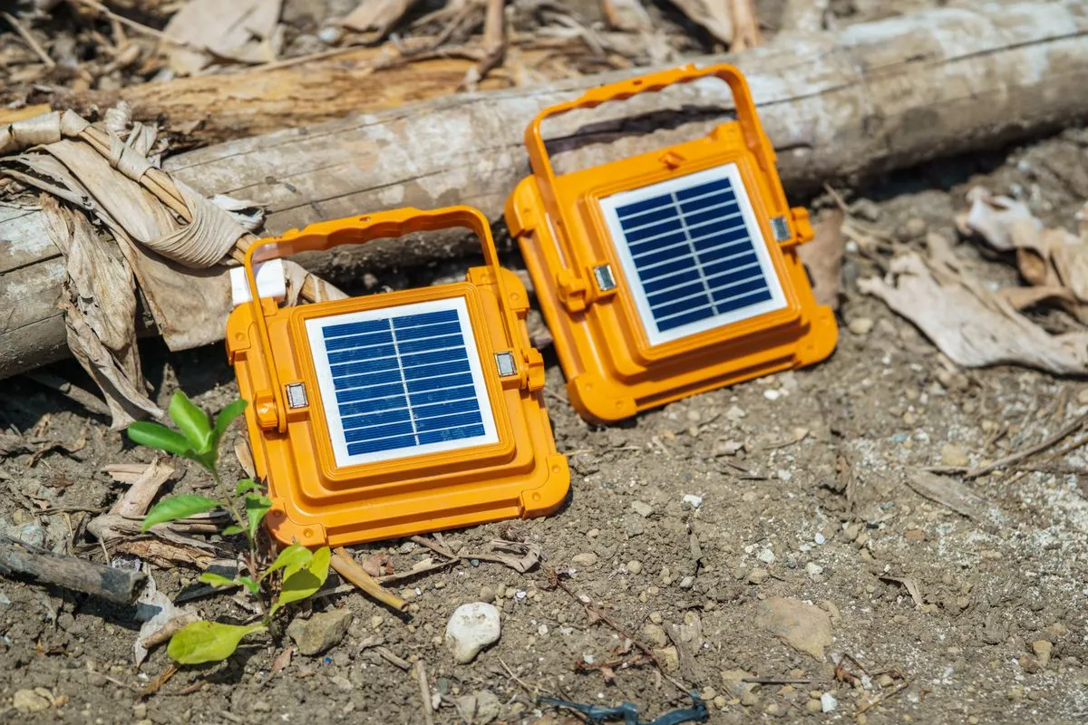 Deux panneaux solaires portables posés au sol en plein soleil