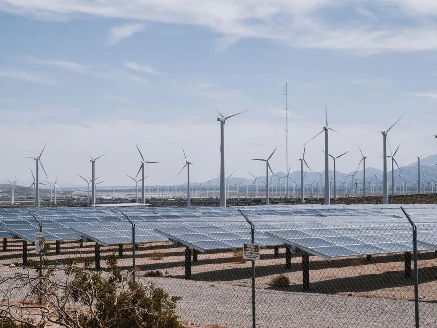 Panneaux solaires et éoliennes dans un champ